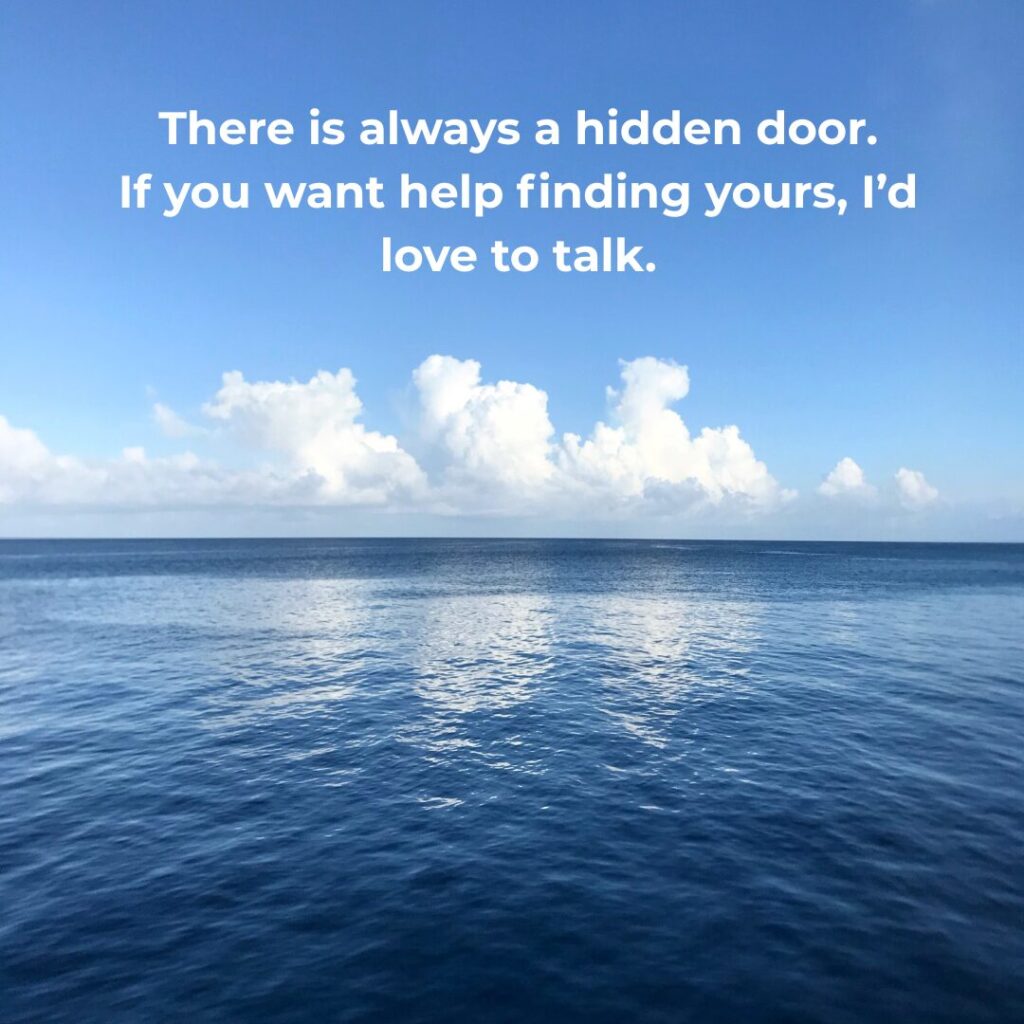 CTA graphic with ocean horizon and the quote ‘There is always a hidden door. If you want help finding yours, I’d love to talk,’ inviting readers to schedule a confidential coaching conversation.